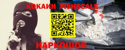 индика Камень-на-Оби