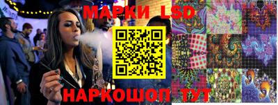 шишки Дмитров