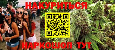 шишки Дмитров