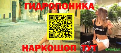 шишки Дмитров