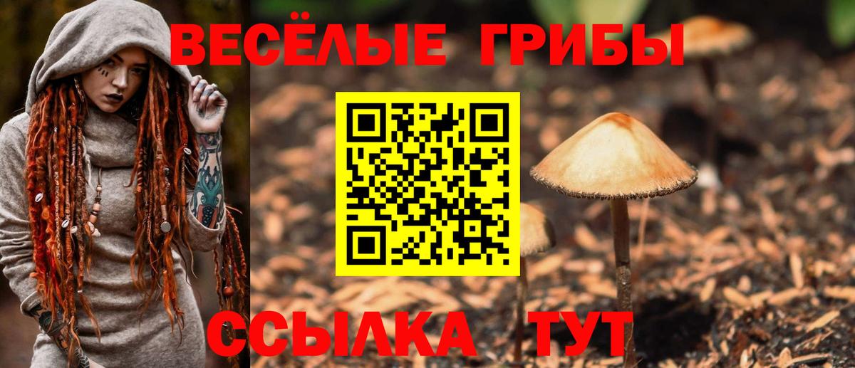 Псилоцибиновые грибы GOLDEN TEACHER Балабаново