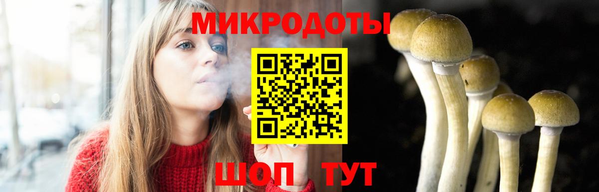 Галлюциногенные грибы Cubensis  Псилоцибиновые грибы Psilocybine cubensis  Балабаново  Вход с VPN 